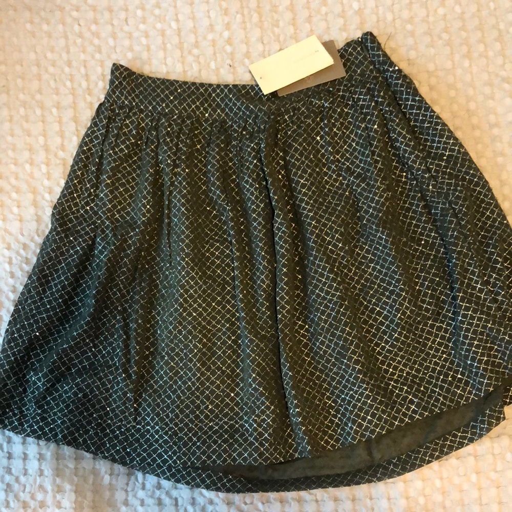 Anthropologie Skirt